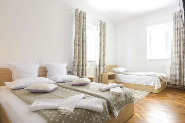 Загородные дома Pension Verona Centru Клуж-Напока-48
